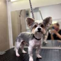 Фото работ Анна Р