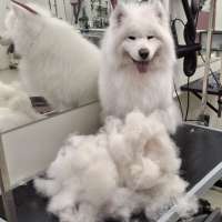 Фото работ Галина