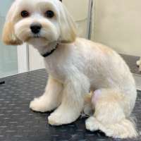 Фото работ Анна