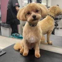 Фото работ Олеся С