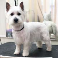 Фото работ Наталья