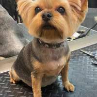 Фото работ Анна