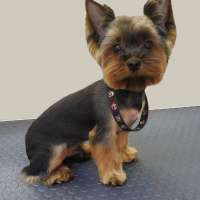 Фото работ Елена