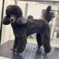 Фото работ Анастасия Н