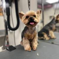 Фото работ Мария