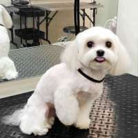 Фото работ Елена