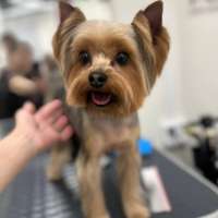 Фото работ Полина