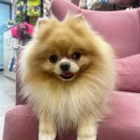 Фото работ Светлана М.