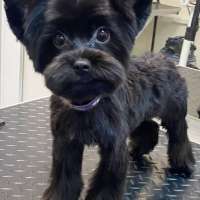 Фото работ Анна