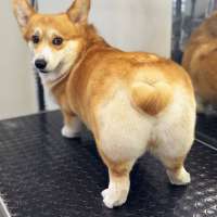 Фото работ Юлия