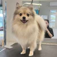 Фото работ Милана