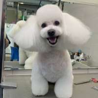 Фото работ Анна К.