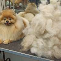 Фото работ Александра