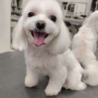 Фото работ Елена К