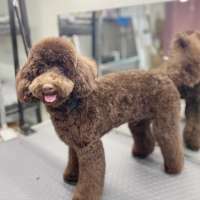 Фото работ Наталья