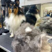 Фото работ Александра