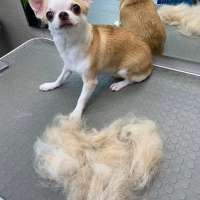 Фото работ Анна К.