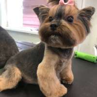 Фото работ Елизавета