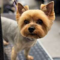 Фото работ Анастасия Н