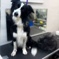 Фото работ Александра