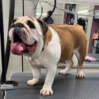 Фото работ Милана