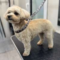 Фото работ Анастасия Н