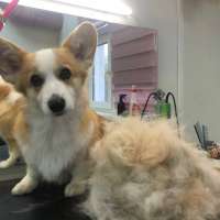 Фото работ Елизавета