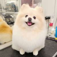 Фото работ Елена И.