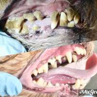 Фото работ Наталья