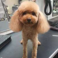 Фото работ Ольга Л