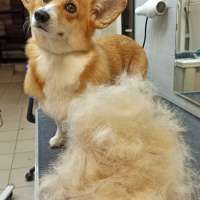 Фото работ Александра