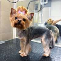 Фото работ Анна Р