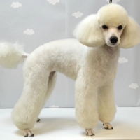 Фото работ Светлана