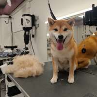 Фото работ Елена И.