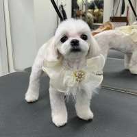 Фото работ Ирина С.