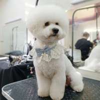 Фото работ Елена