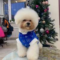 Фото работ Елена