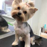 Фото работ Елизавета