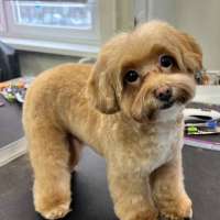 Фото работ Елизавета