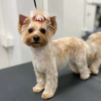 Фото работ Ирина С.