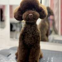 Фото работ Юлия