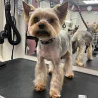 Фото работ Олеся С