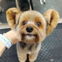 Фото работ Елена