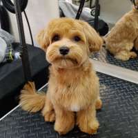 Фото работ Елена