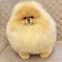 Фото работ Светлана