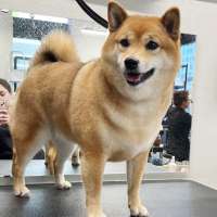 Фото работ Милана