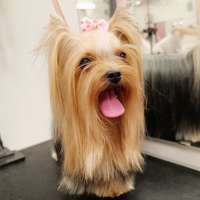 Фото работ Елена И.