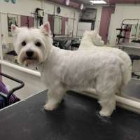 Фото работ Елена К