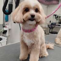 Фото работ Елена К