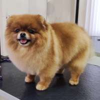 Фото работ Елизавета